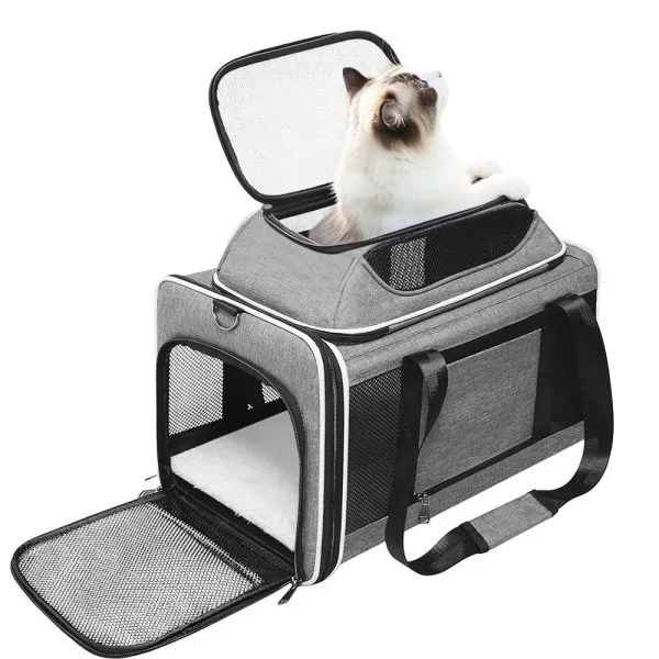 Wholesale space capsule pet carrier backpack bulk order